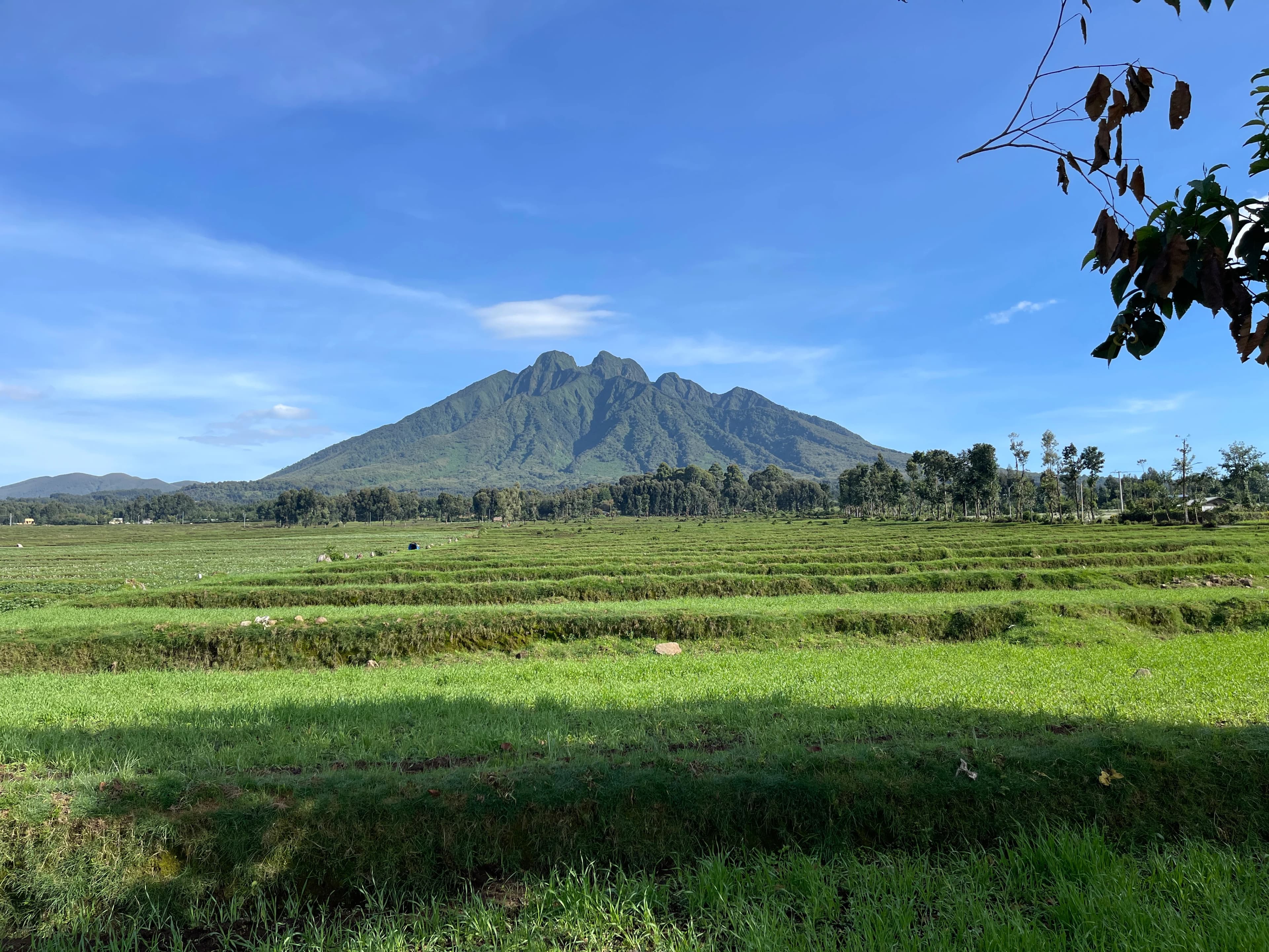 Rwanda's thousand hills showing in the stunning view of Mountain Sabyinyo in Volcanoes National park