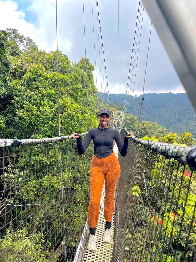 Nyungwe Forest canopy walkway suspended bridge above ancient rainforest
