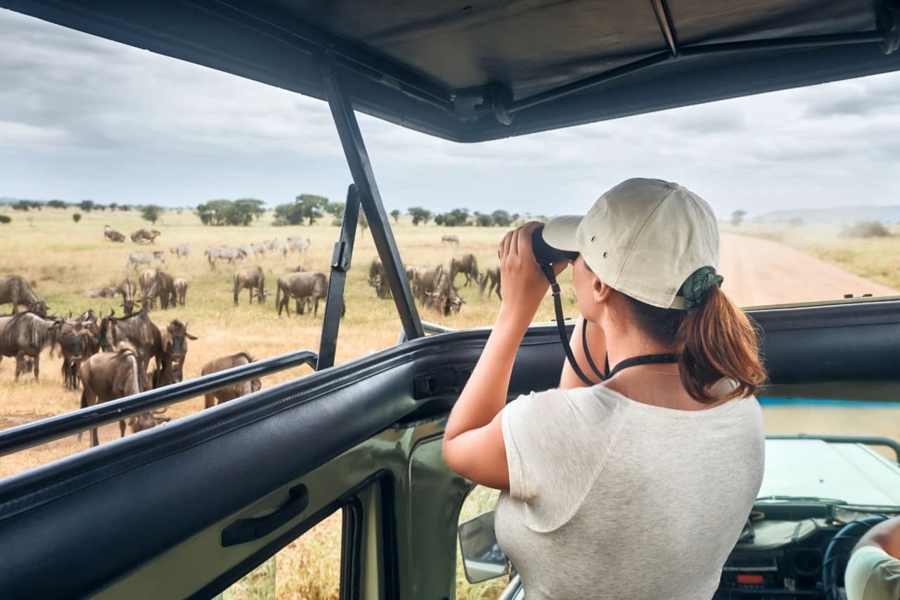 Tanzania game drive with Big Five wildlife viewing experience