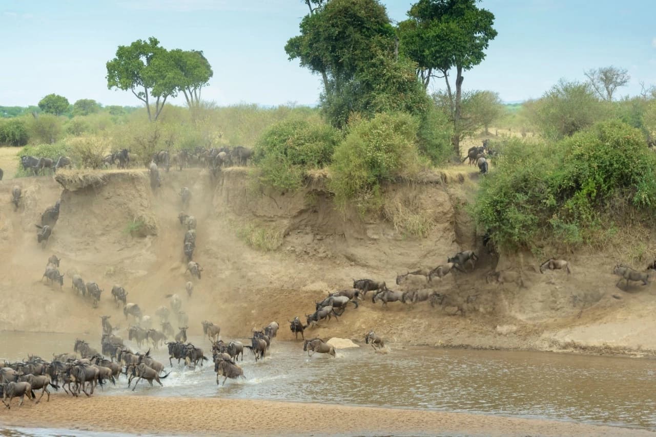 Serengeti National Park endless plains with wildlife during Great Migration