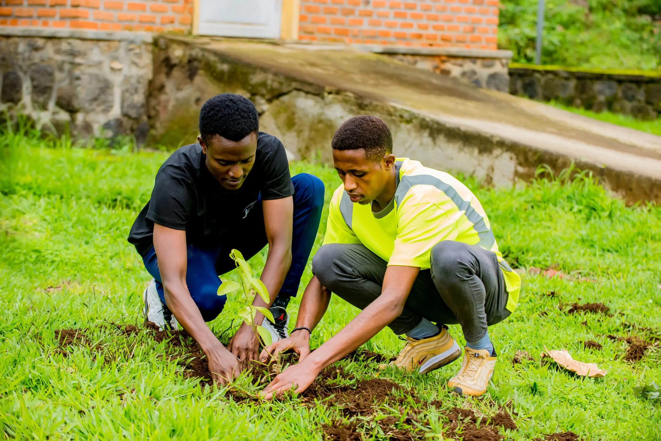 Community members planting native trees