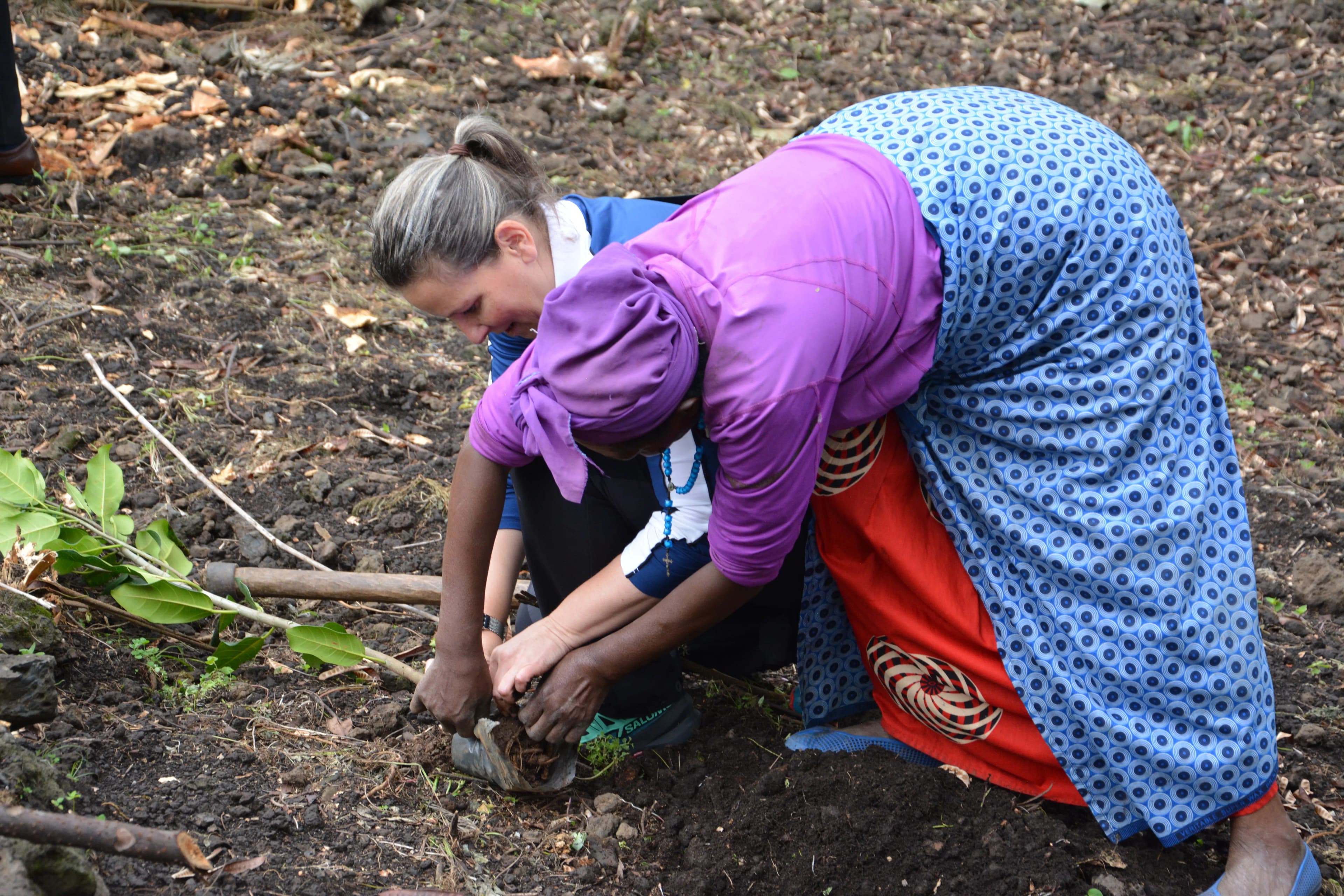 Community agronomists guiding families through nutrition gardens