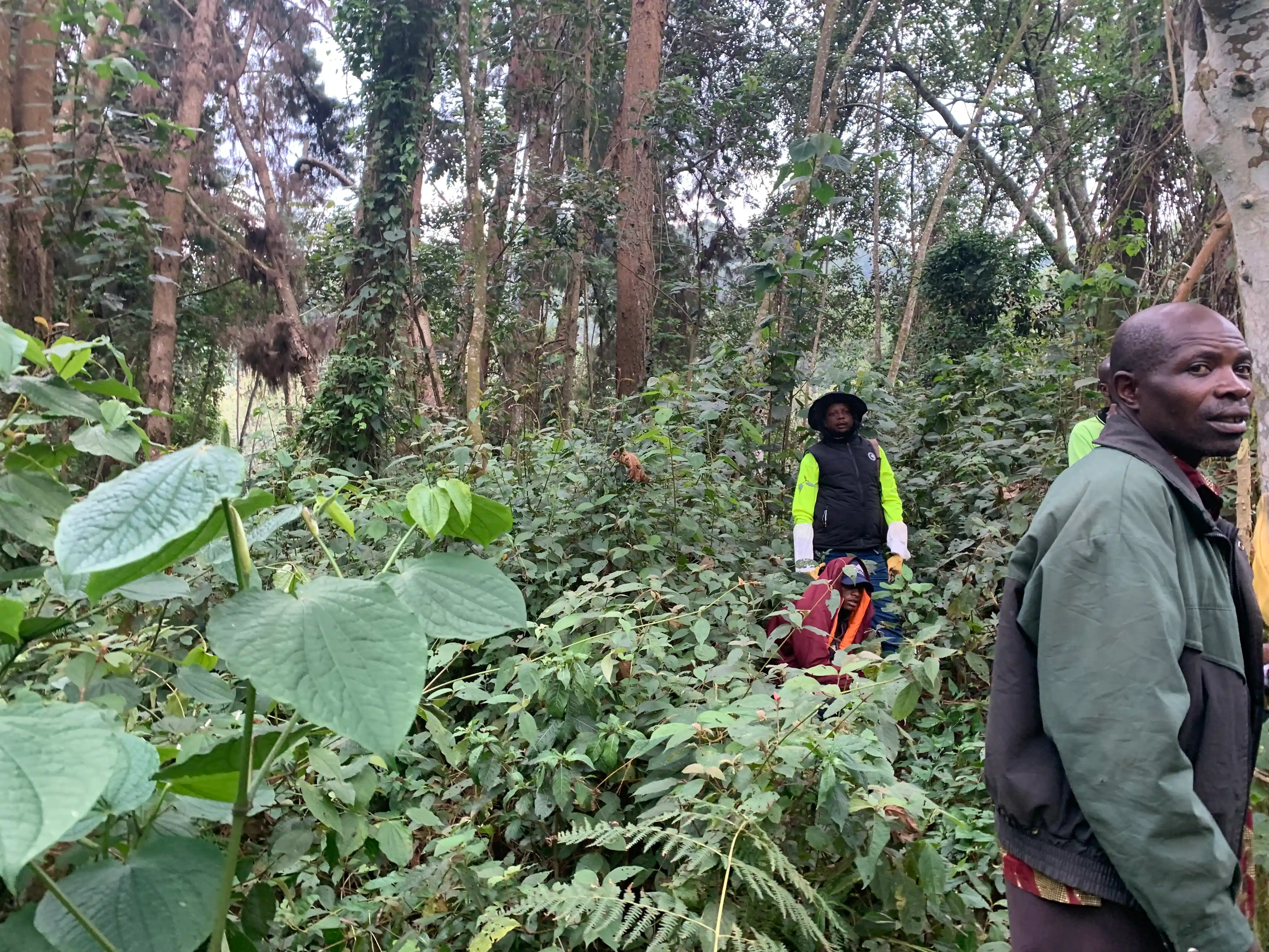 Eco hive Guardian project impact in the community