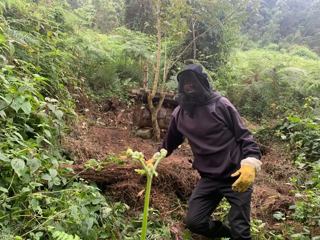 The project initiator of Eco Hive Guardians initiative