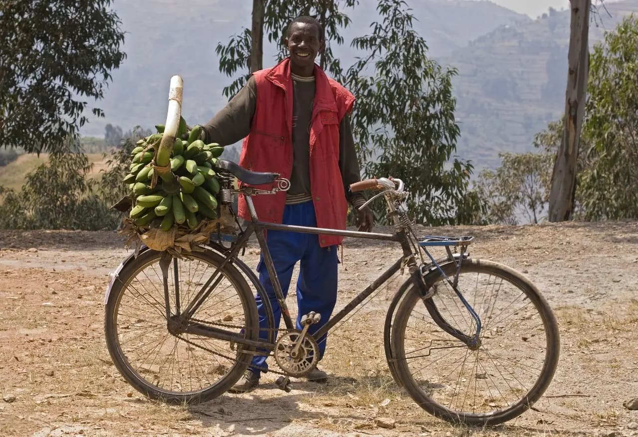 Sustainable Yields Initiative