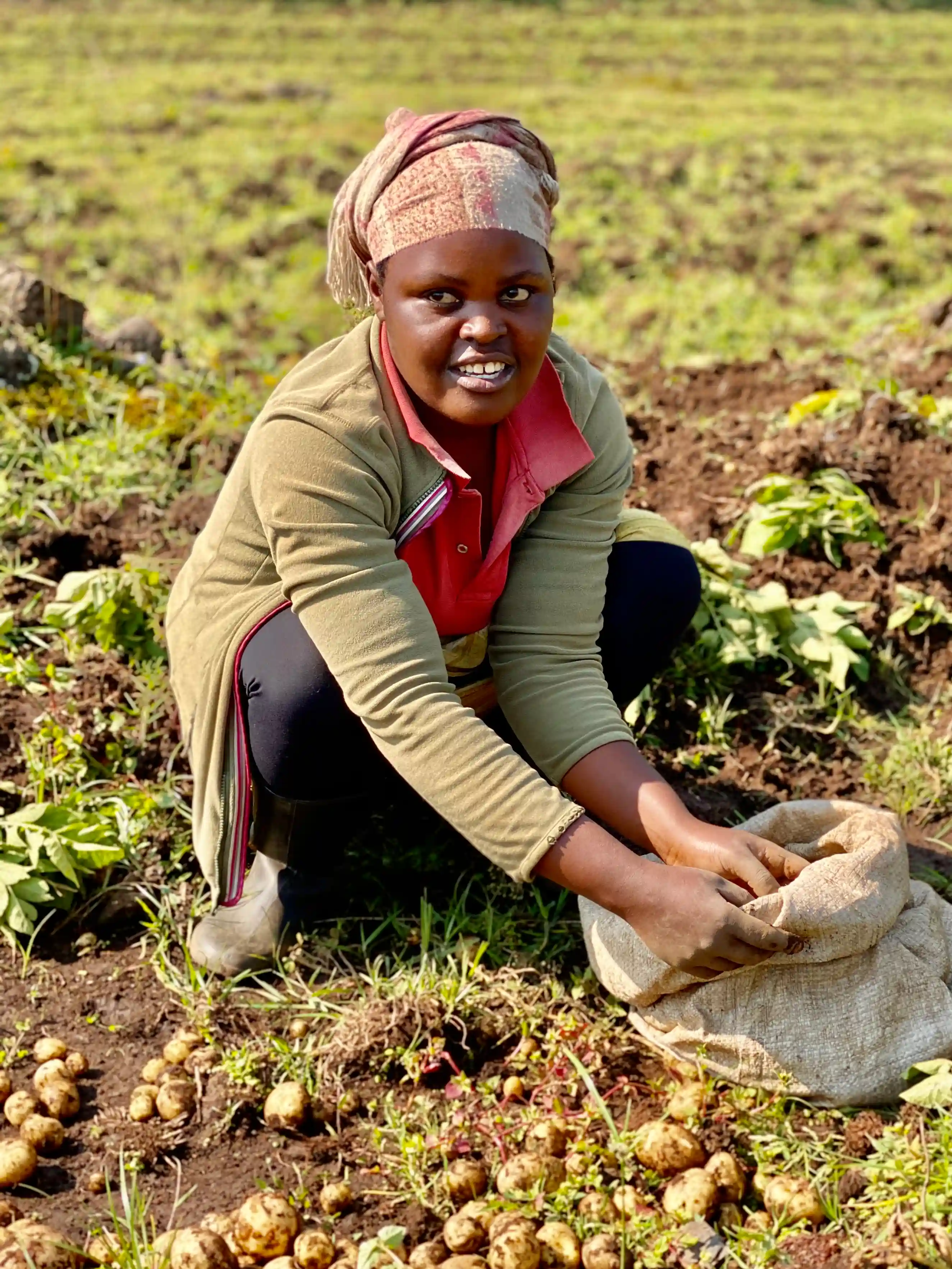 impact of food sustainability with sustainable yields initiative