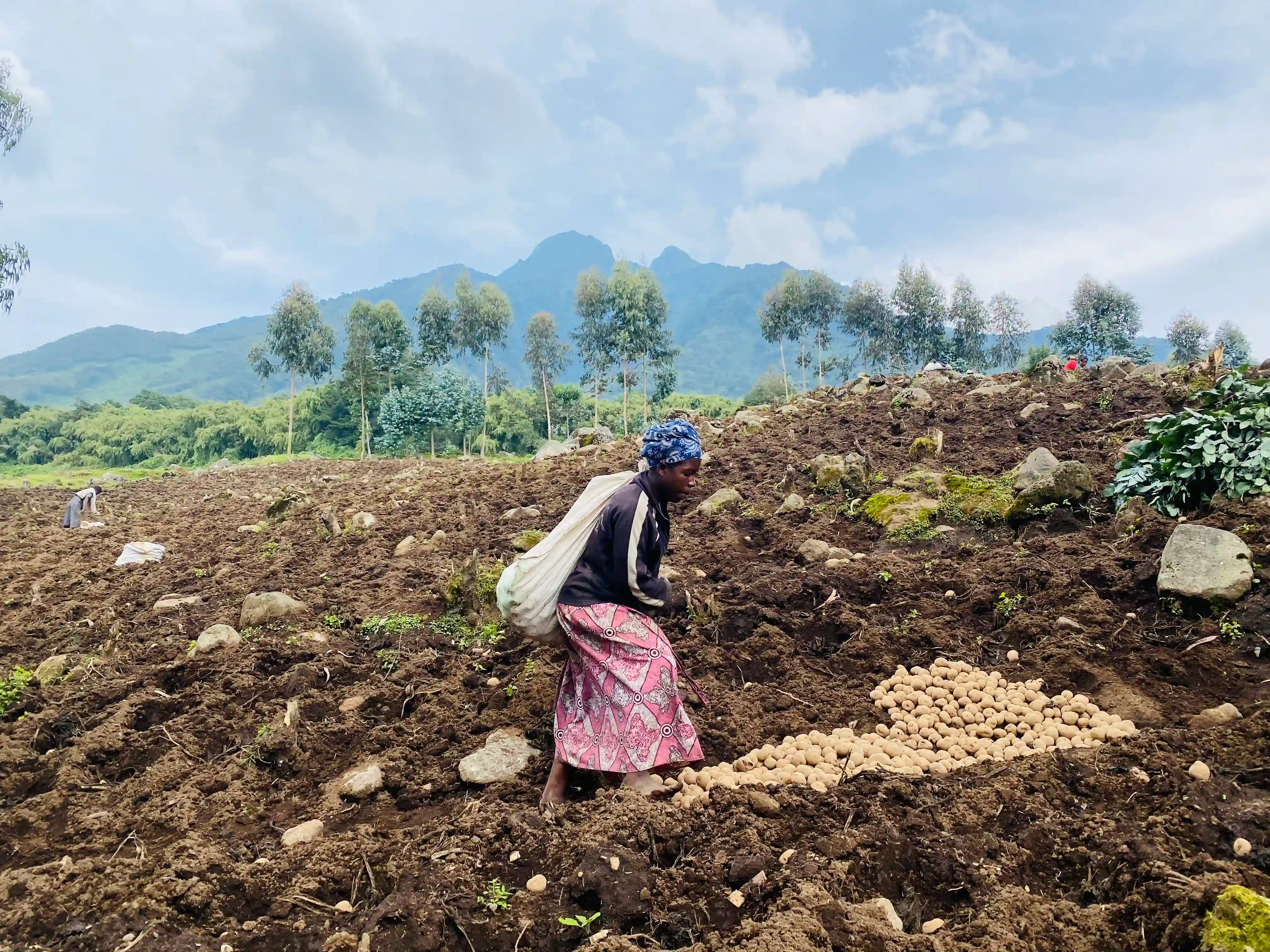 agriculture in rwanda with what the initiative focus on
