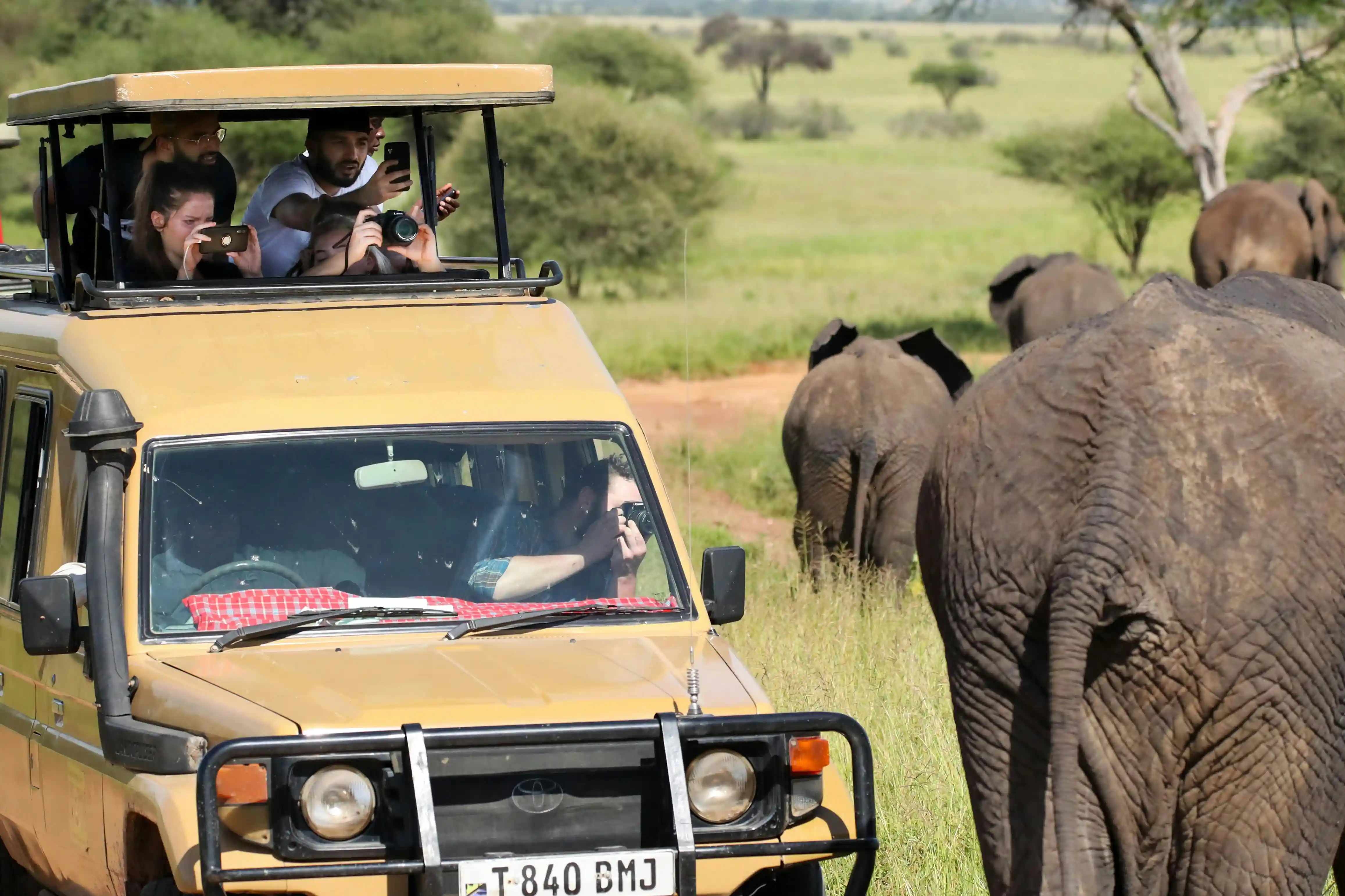 Travelers on a safari vehicle in Serengeti National Park spotting a rhino during a thrilling game drive