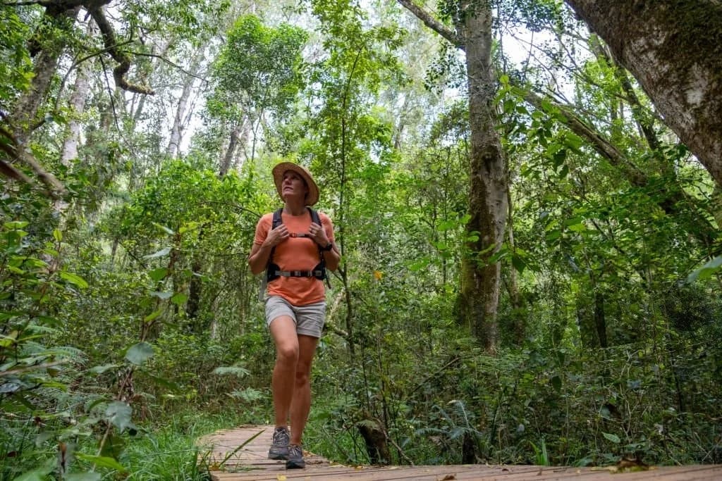 A serene and immersive nature walk scene featuring a woman exploring the lush Bigodi Wetlands Sanctuary in western Uganda, surrounded by dense green vegetation, towering trees, and rich wetland biodiversity. The image captures the essence of Uganda Safaris for Families: Wildlife and Culture Tours, highlighting a slow-paced, educational, and family-friendly eco-experience ideal for travelers with children. Bigodi Wetlands is renowned for its guided nature walks, birdwatching, primate sightings such as colobus monkeys, and meaningful cultural interactions with local communities. This photograph reflects responsible tourism, conservation awareness, and authentic African travel experiences, making it perfect for families seeking wildlife encounters beyond traditional game drives. The calm atmosphere, natural beauty, and sense of discovery showcased in this image emphasize Uganda as a safe, enriching destination for family safaris focused on nature, culture, and sustainability.