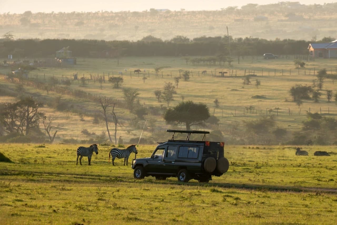 Safari vehicle driving across the golden Serengeti plains during evening hours with zebras roaming peacefully — Best family friendly safari and tours in Tanzania.