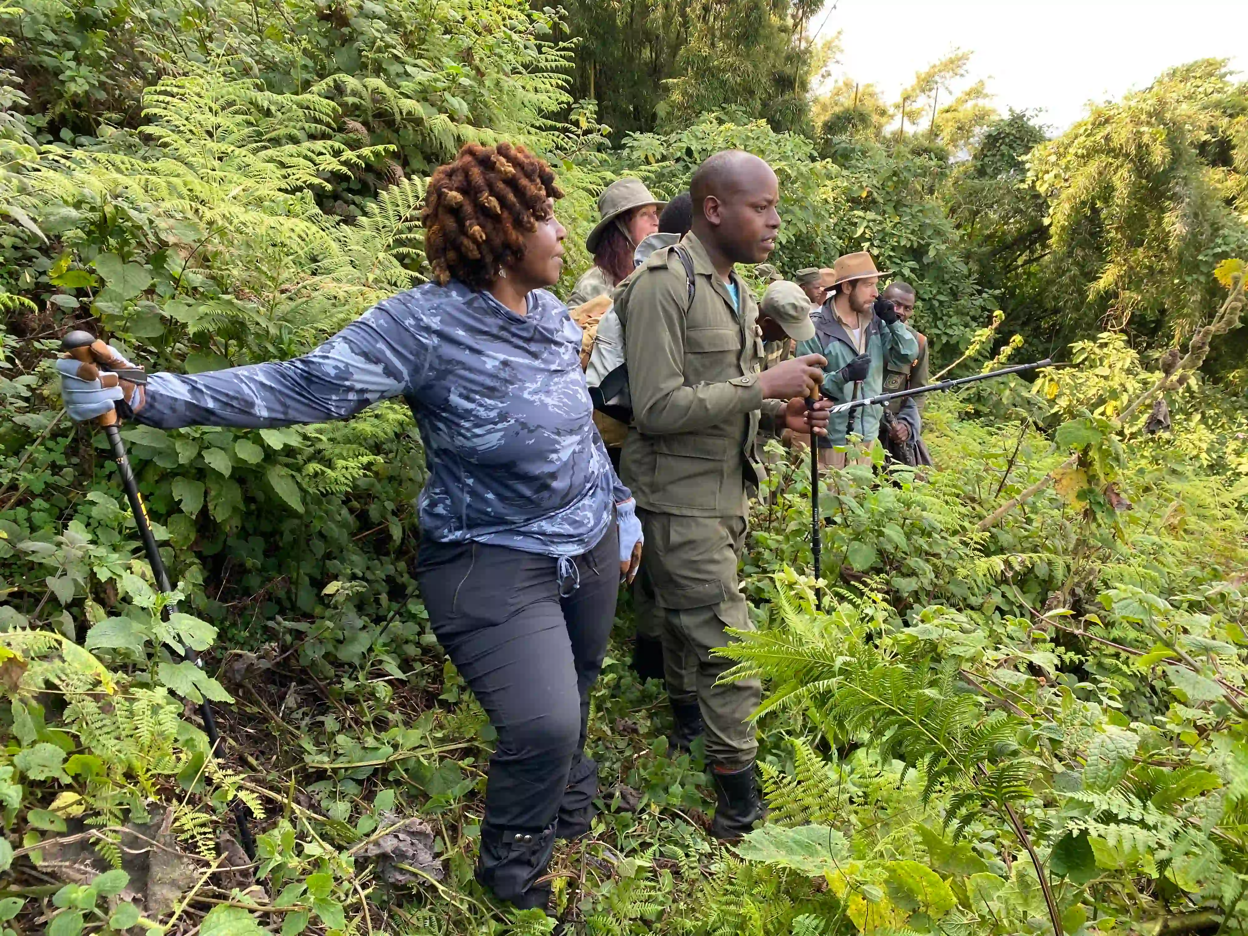 Travelers with a local guide and ranger during mountain gorilla trekking in Rwanda, showcasing ecotours and impact in Rwanda through conservation-focused tourism.