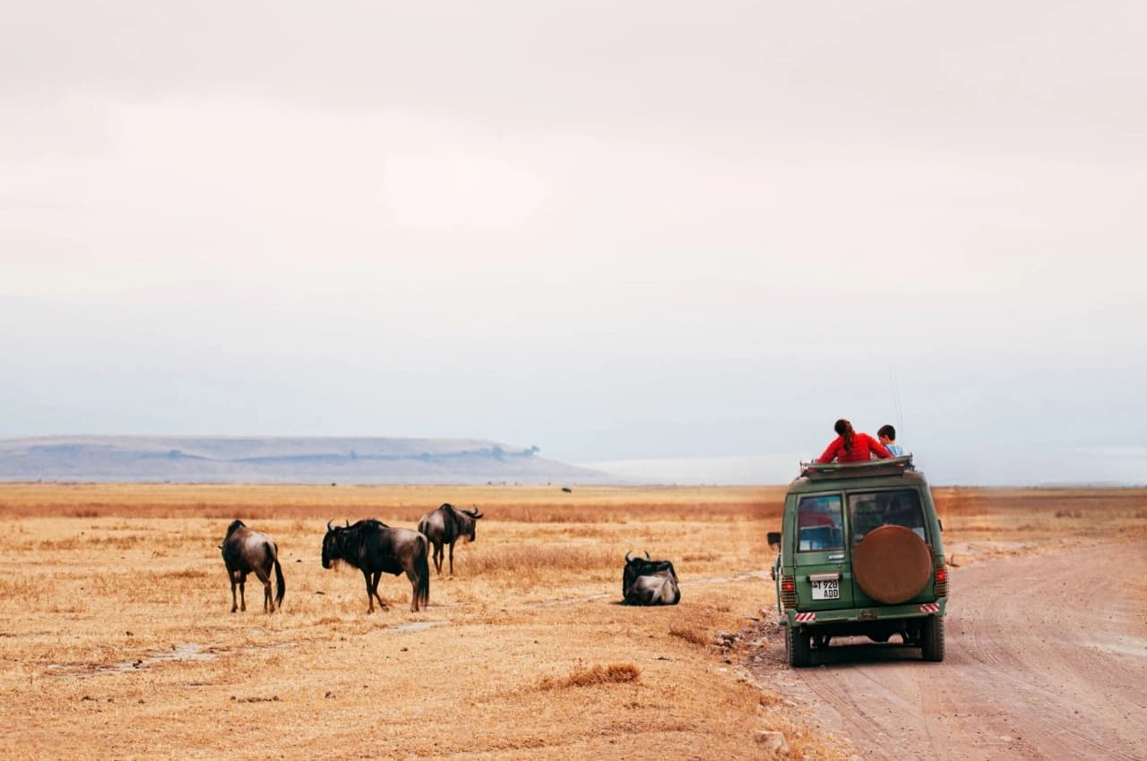 Group of adventurous women on a Serengeti National Park safari game drive, spotting wildlife and enjoying nature in Tanzania.