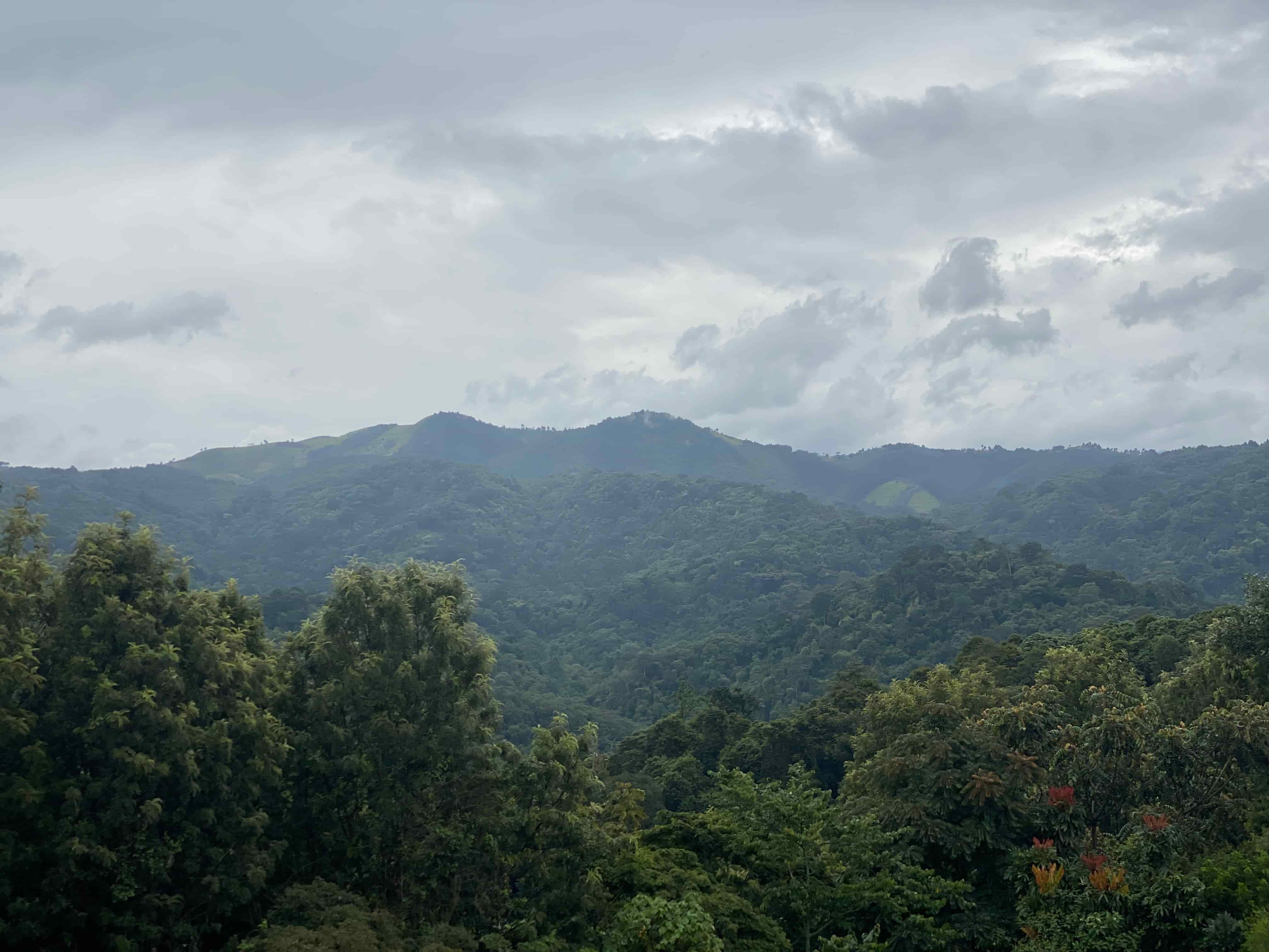 Gishwati–Mukura Forest in Rwanda, a lush rainforest habitat and one of the best places for birdwatching in Uganda and Rwanda.