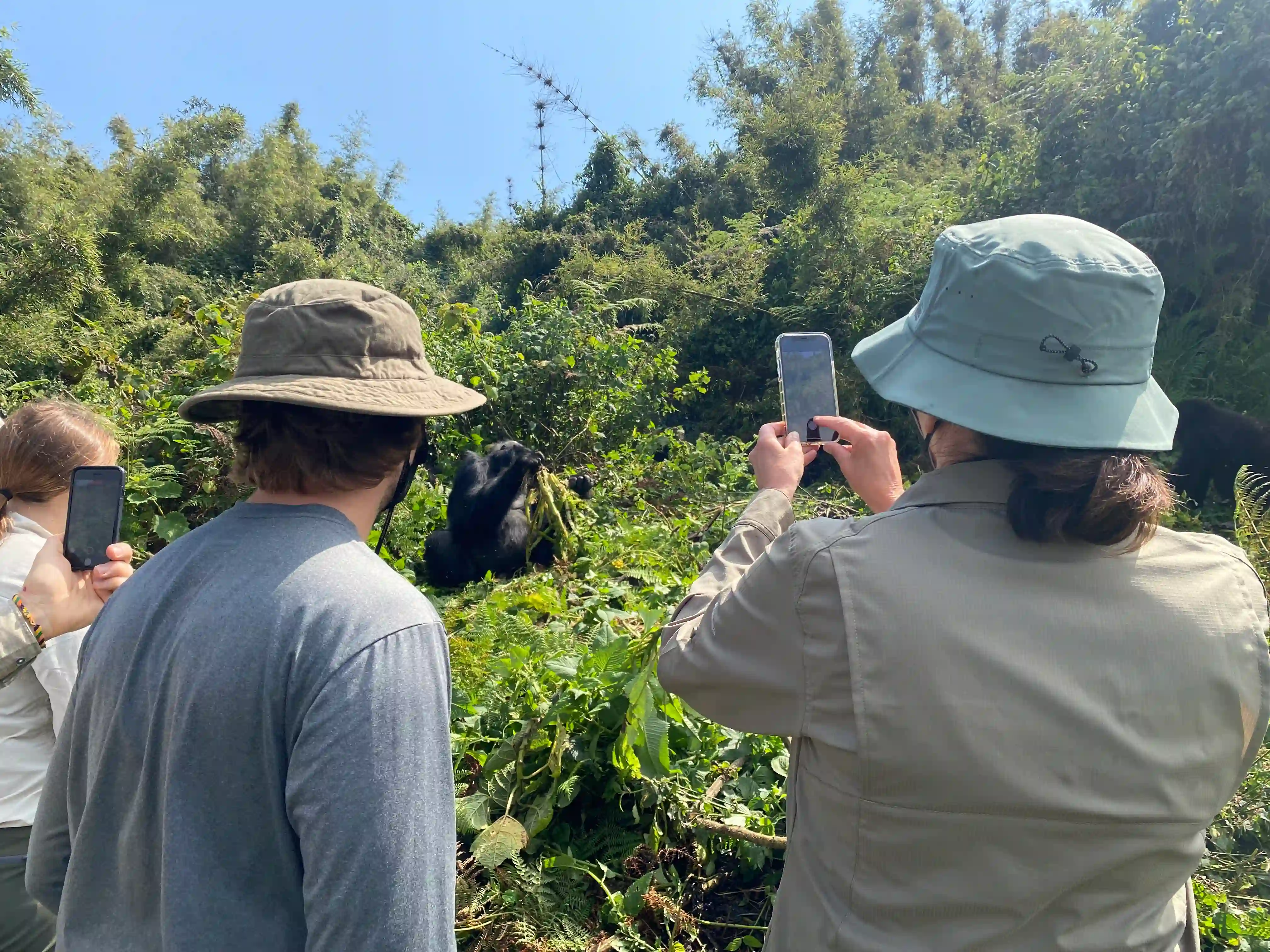 Travelers trekking through Volcanoes National Park during an unforgettable mountain gorilla encounter in Rwanda.