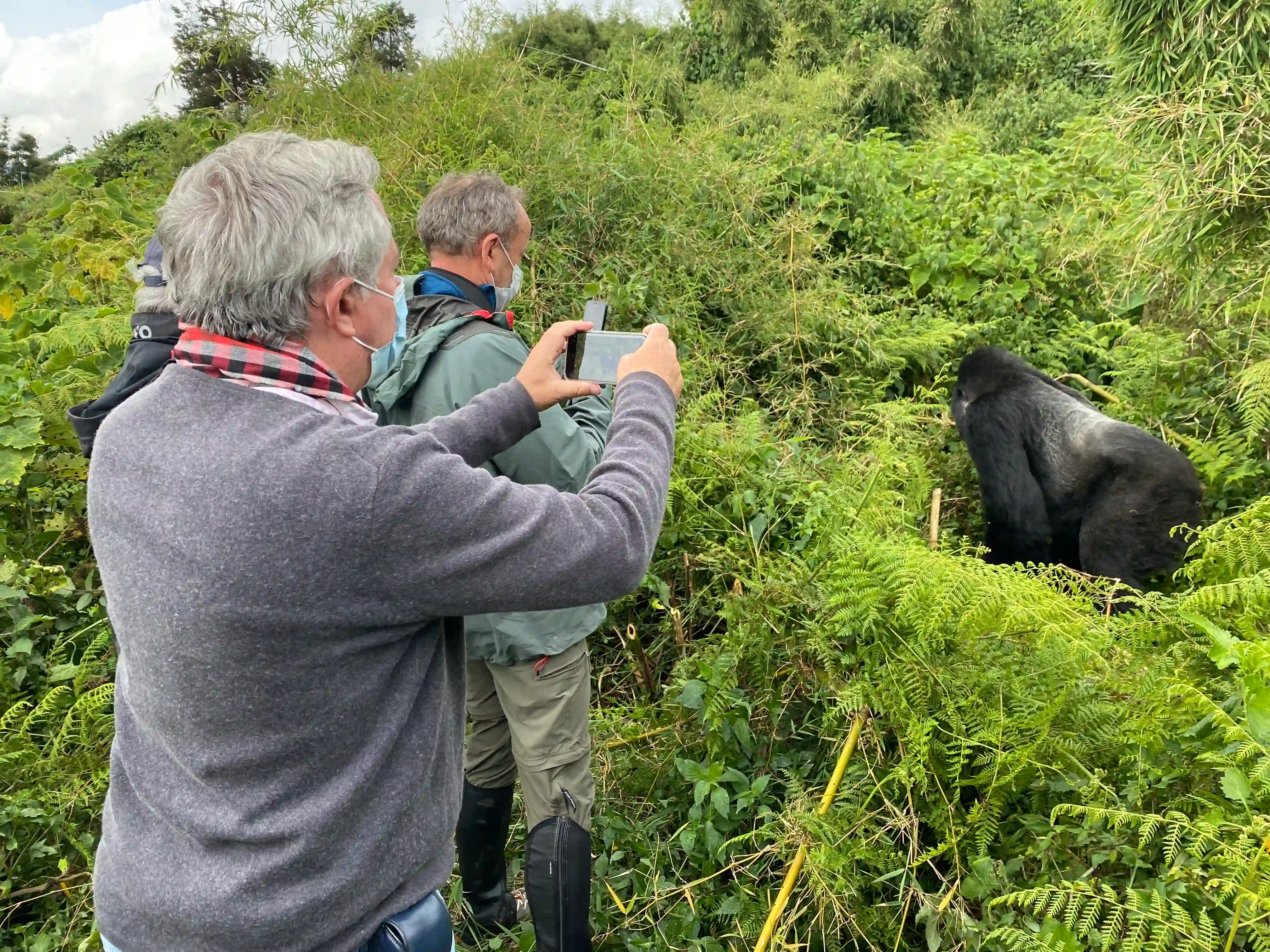 Two senior travelers trekking through Rwanda’s Volcanoes National Park, encountering mountain gorillas in the wild—illustrating the inclusive gorilla trekking age limit experience.