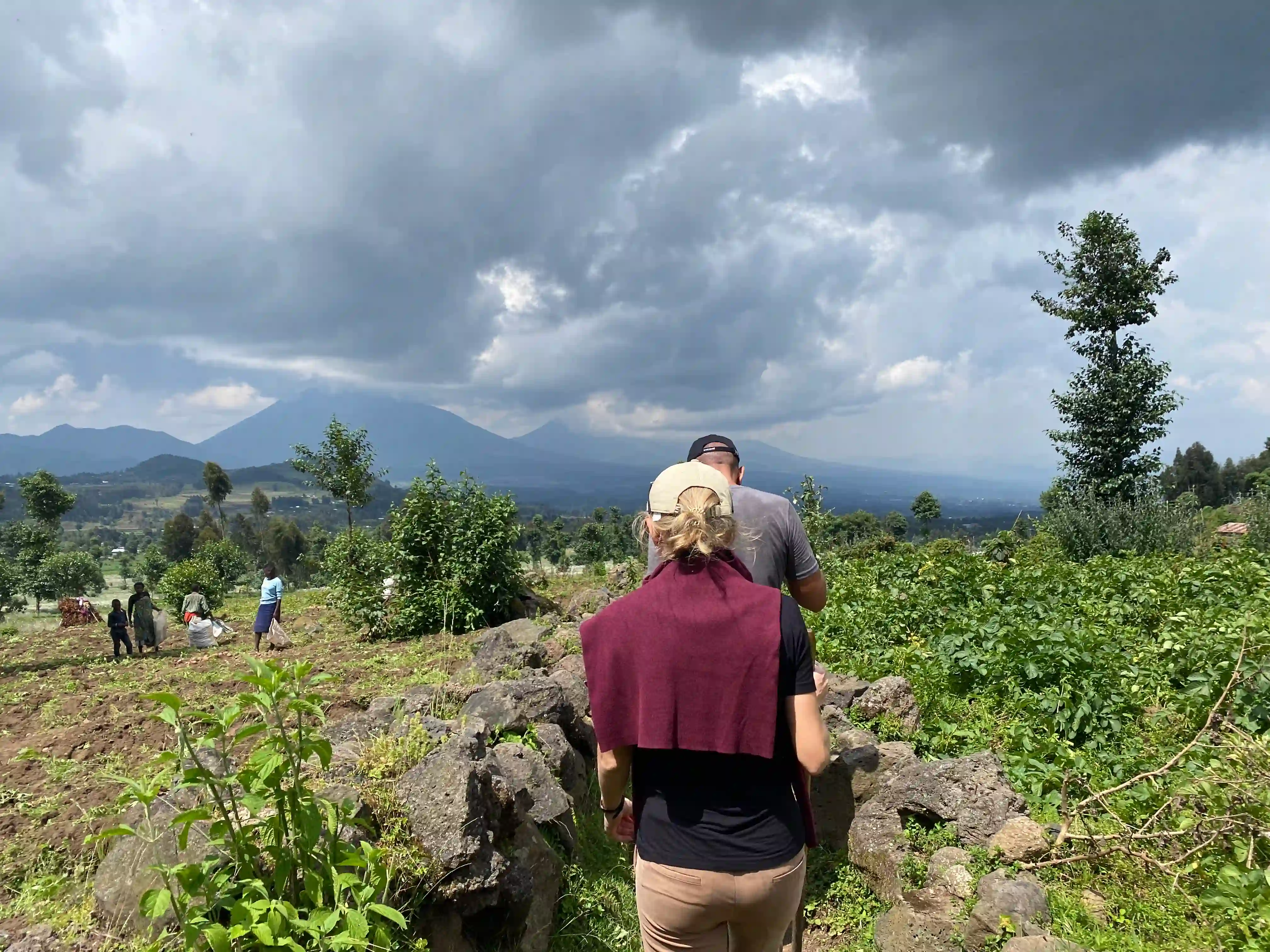 Two travelers hiking Volcanoes National Park with rangers and guides to meet a gorilla family – What to Pack for Gorilla Trekking: Updated Essential List.