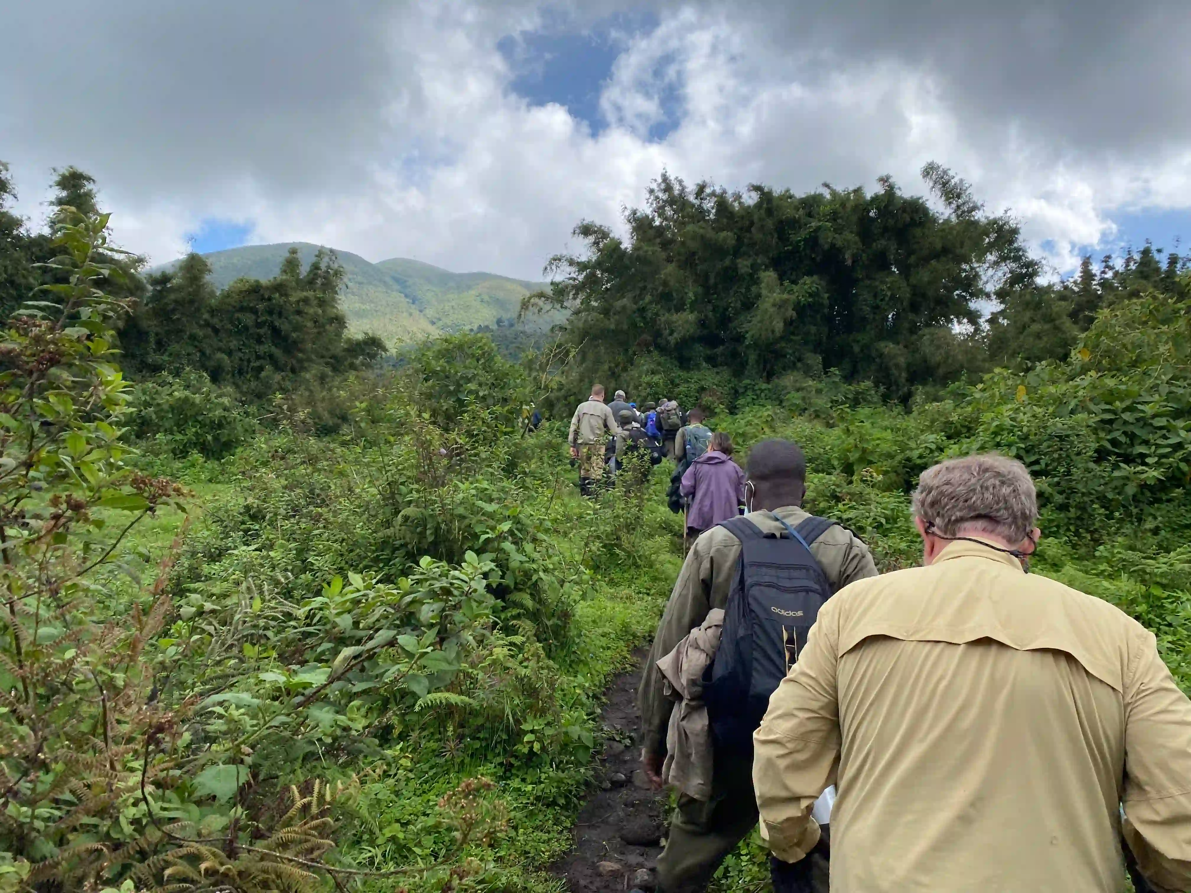 Travelers hiking through misty bamboo forests in Volcanoes National Park during a mountain gorilla trekking experience in Rwanda.