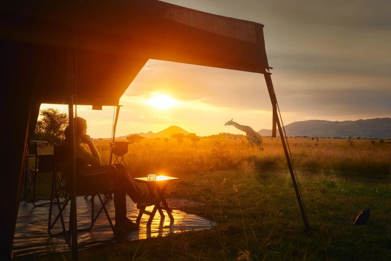 A woman traveler sitting at a luxury safari camp in South Africa, observing giraffes at golden sunset — how to plan South Africa eco luxury safari experience.