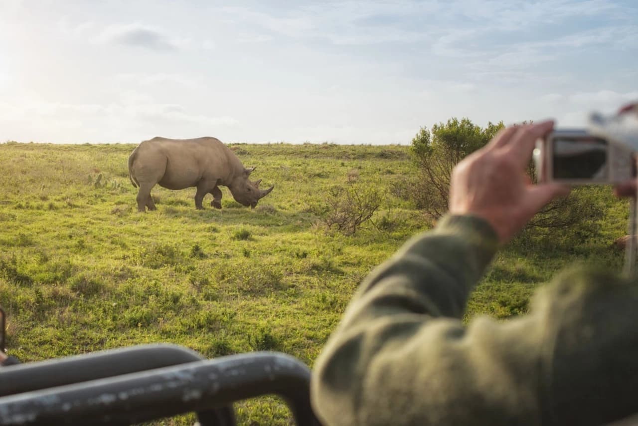 Traveler photographing rhinos from a safari vehicle in Kruger National Park during a luxury eco-friendly safari, showcasing South Africa’s Big Five for a guide on how to plan South Africa eco luxury safari.