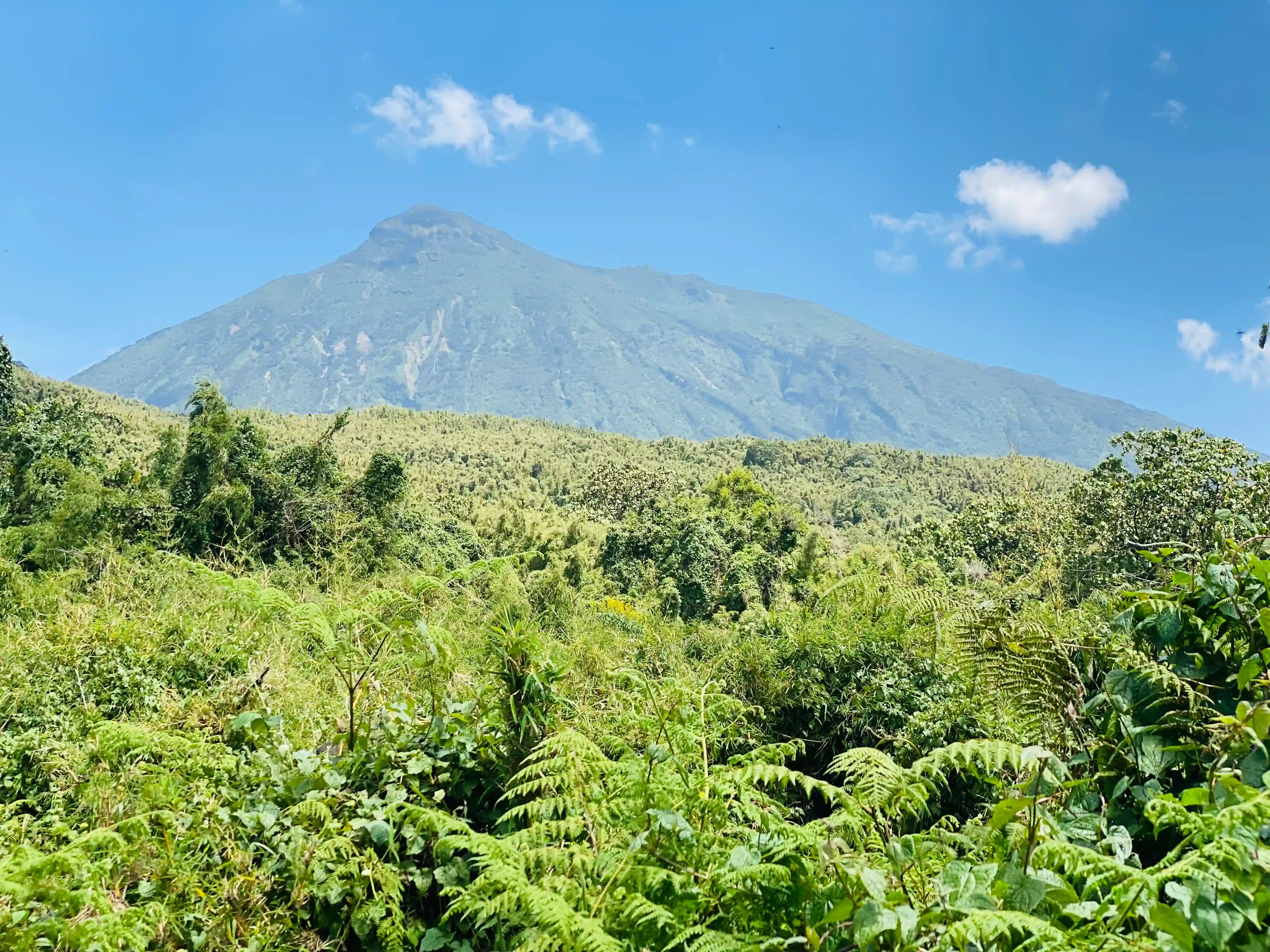 Mount Muhabura peak view on one of the 10 best hiking tours and trails in Rwanda, showcasing volcanic landscapes and breathtaking mountain scenery.