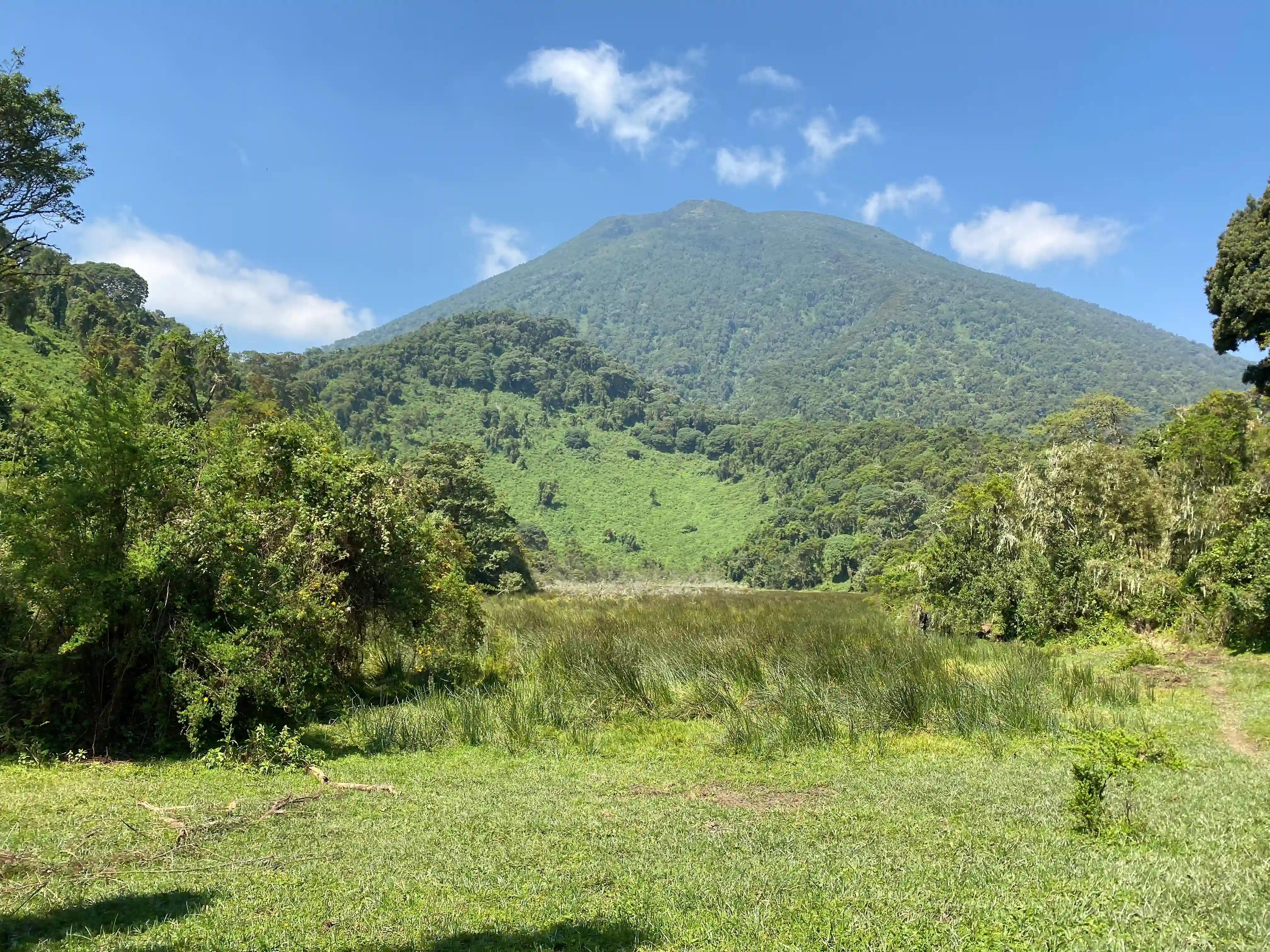 Majestic Mount Muhabura on the Rwanda-Uganda border, a stunning volcanic peak surrounded by lush greenery and misty skies — perfect for hiking and adventure travelers in East Africa.