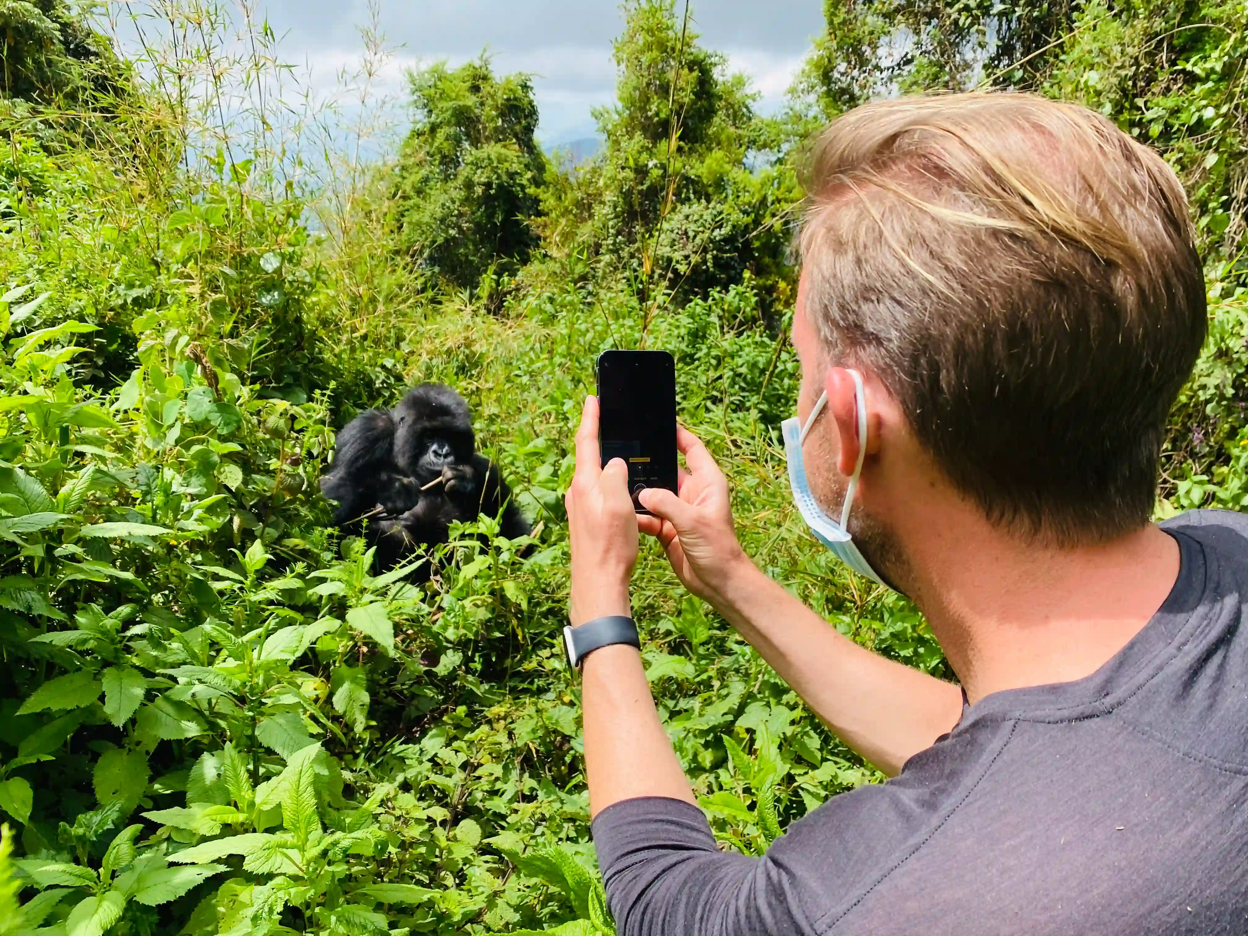 Traveler photographing a gorilla from a safe distance during a mountain gorilla trekking experience in Rwanda, showcasing ethical wildlife viewing and responsible tourism.