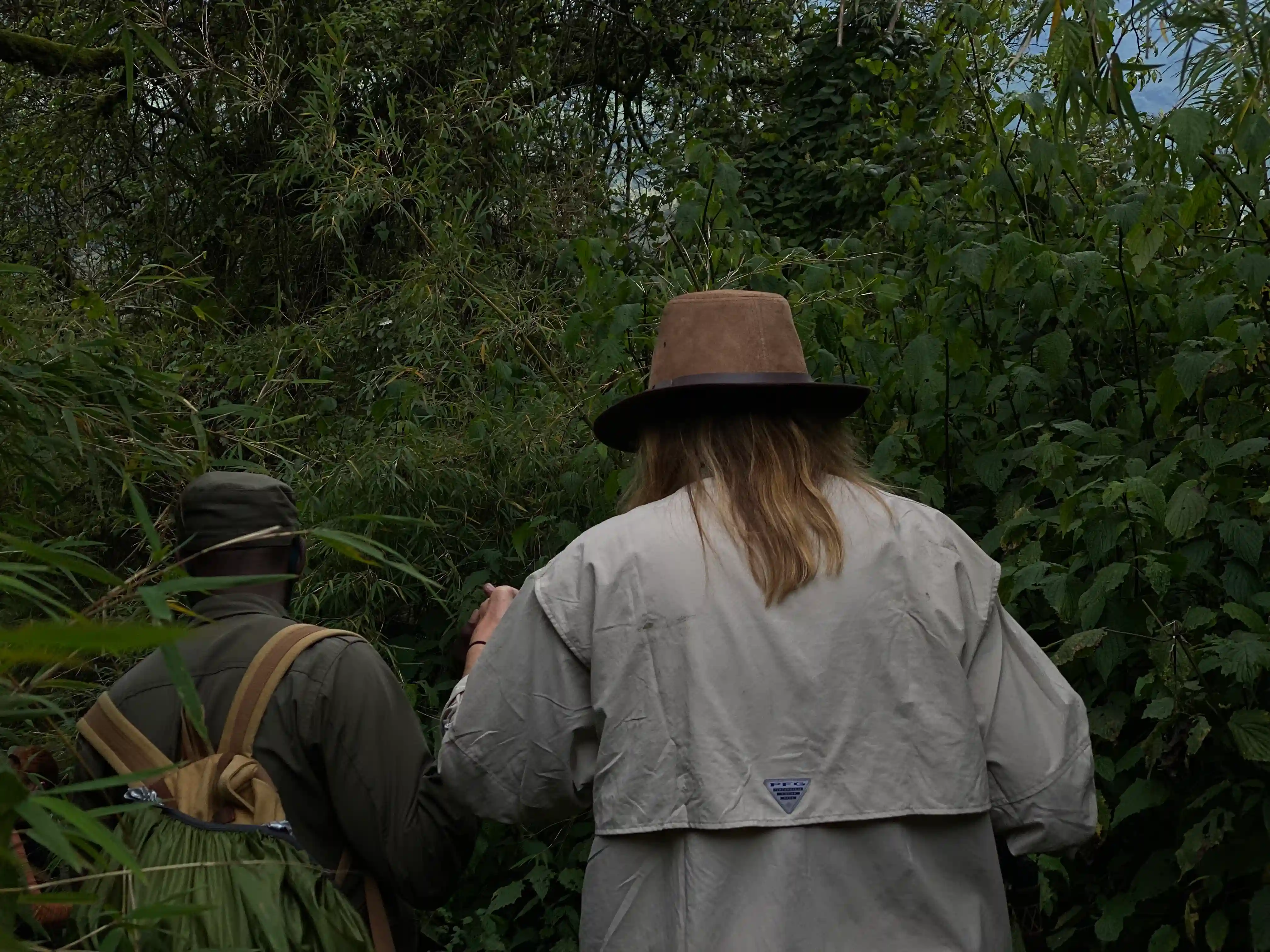 Traveler proudly trekking mountain gorillas in Volcanoes National Park, Rwanda, with her guide