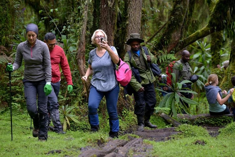 Group of international travelers with local guides and porters on an eco-tourism adventure in Rwanda’s lush hills, promoting sustainable travel and community empowerment.