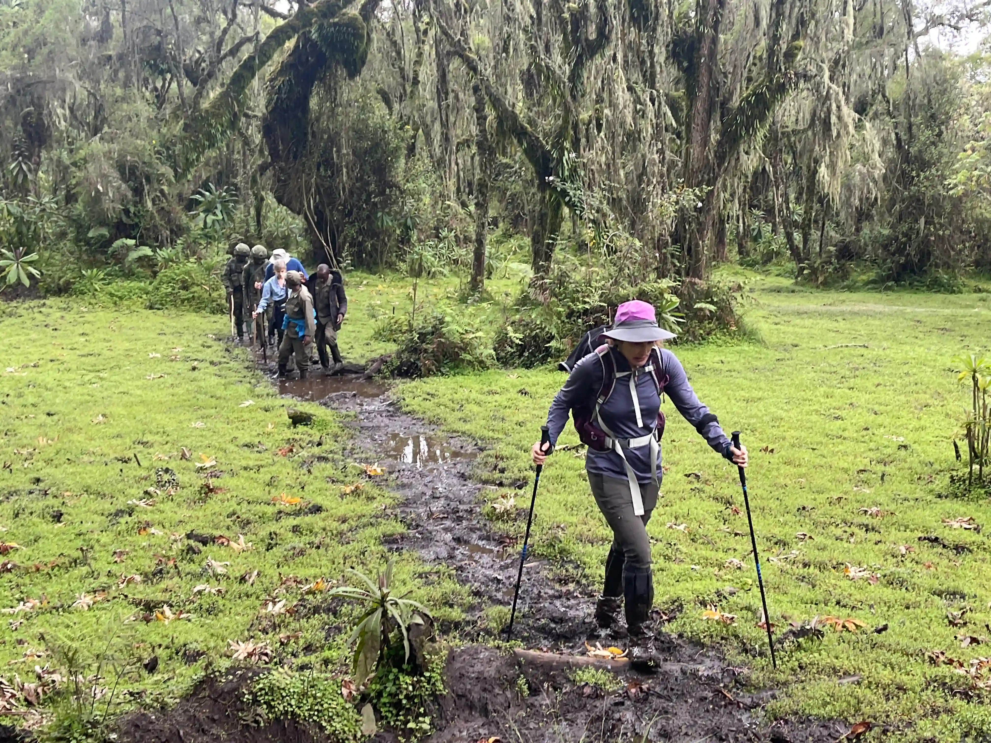 Travelers enjoying a peaceful nature walk through lush green landscapes in Rwanda, discovering wildlife and local beauty.