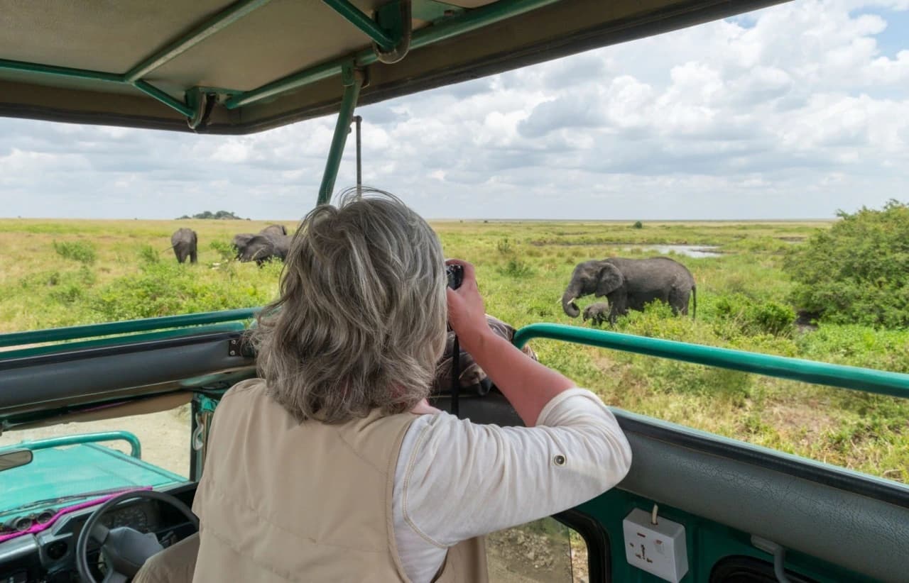 Woman traveler on a luxury safari game drive watching wildlife in Serengeti National Park, Tanzania.