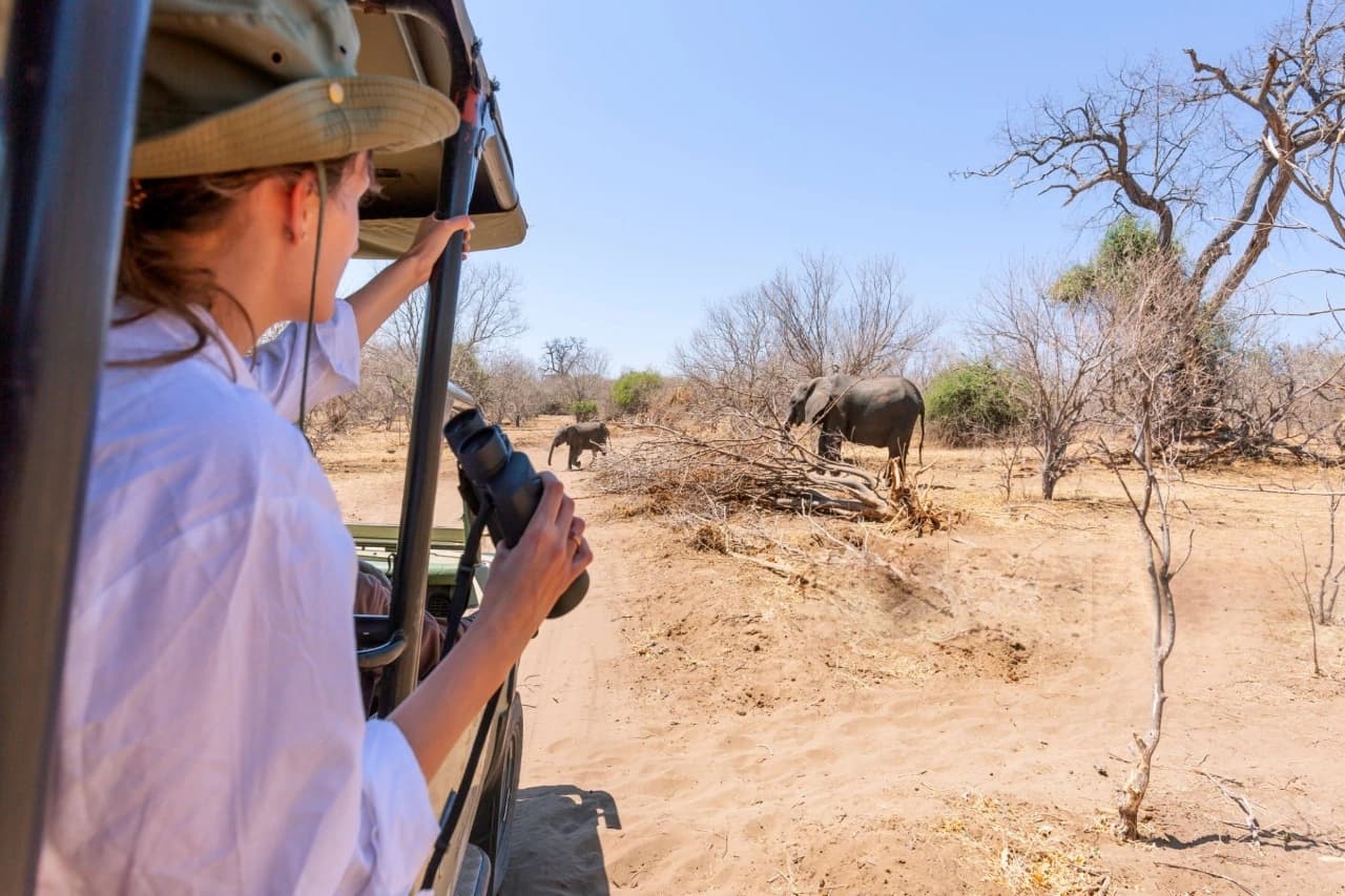 Girl traveler in Serengeti wearing a light shirt and holding binoculars, observing an elephant from a safari vehicle — what to pack for Tanzania safari example.
