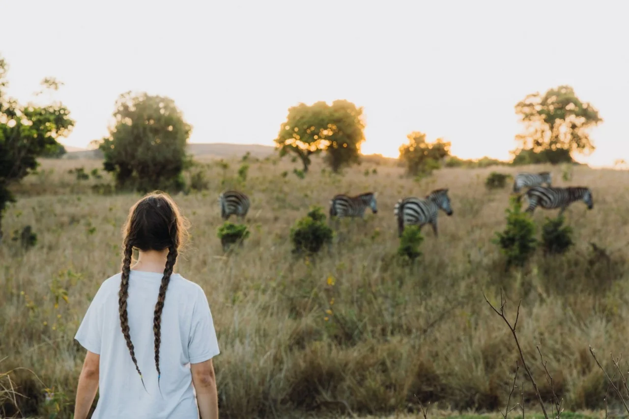 Female traveler on walking safari watching zebras in Serengeti National Park, Tanzania — authentic African wildlife adventure experience.