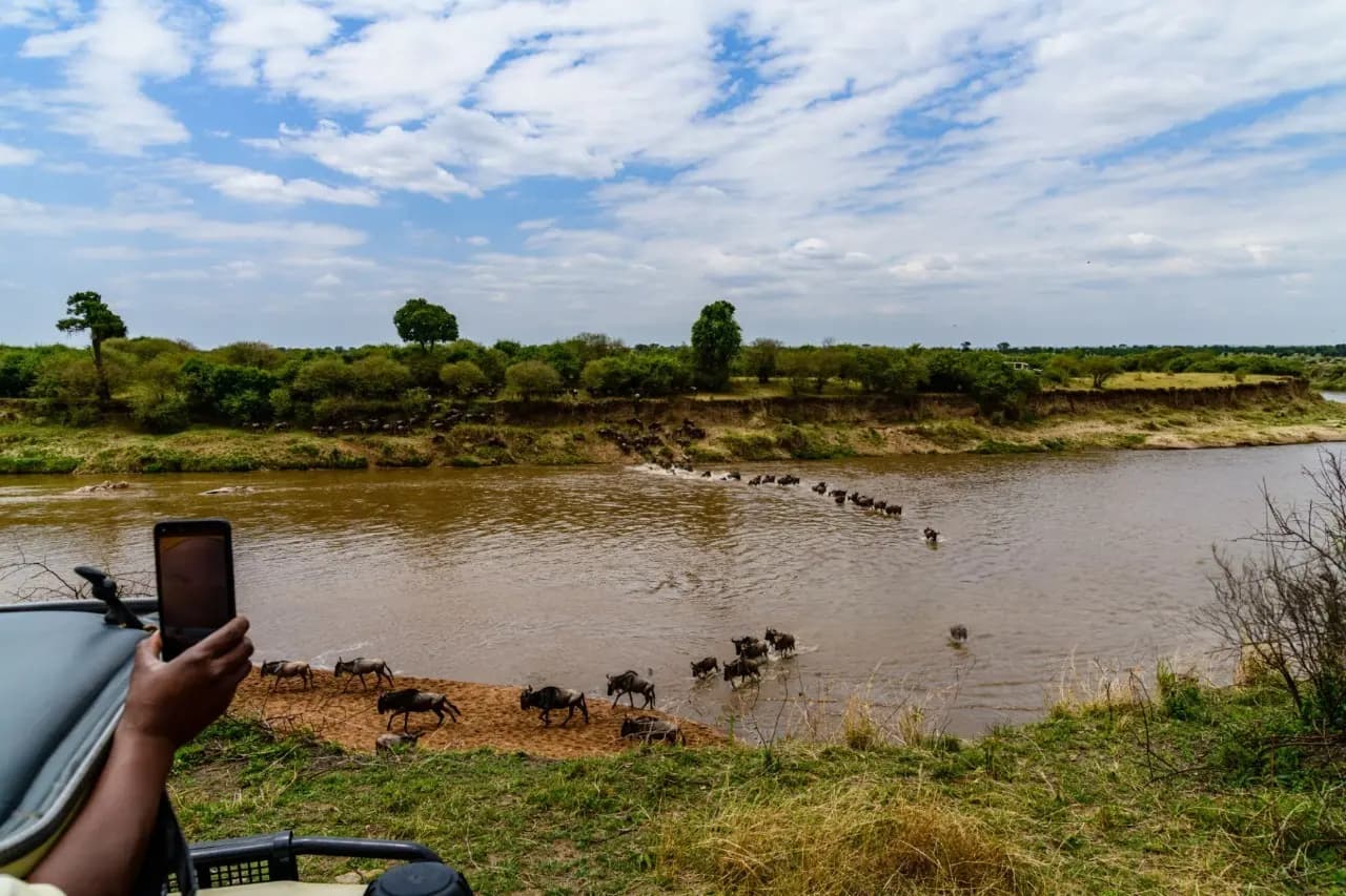 Wildebeest migration crossing the Serengeti River in Serengeti National Park, Tanzania – one of Africa’s greatest wildlife spectacles.