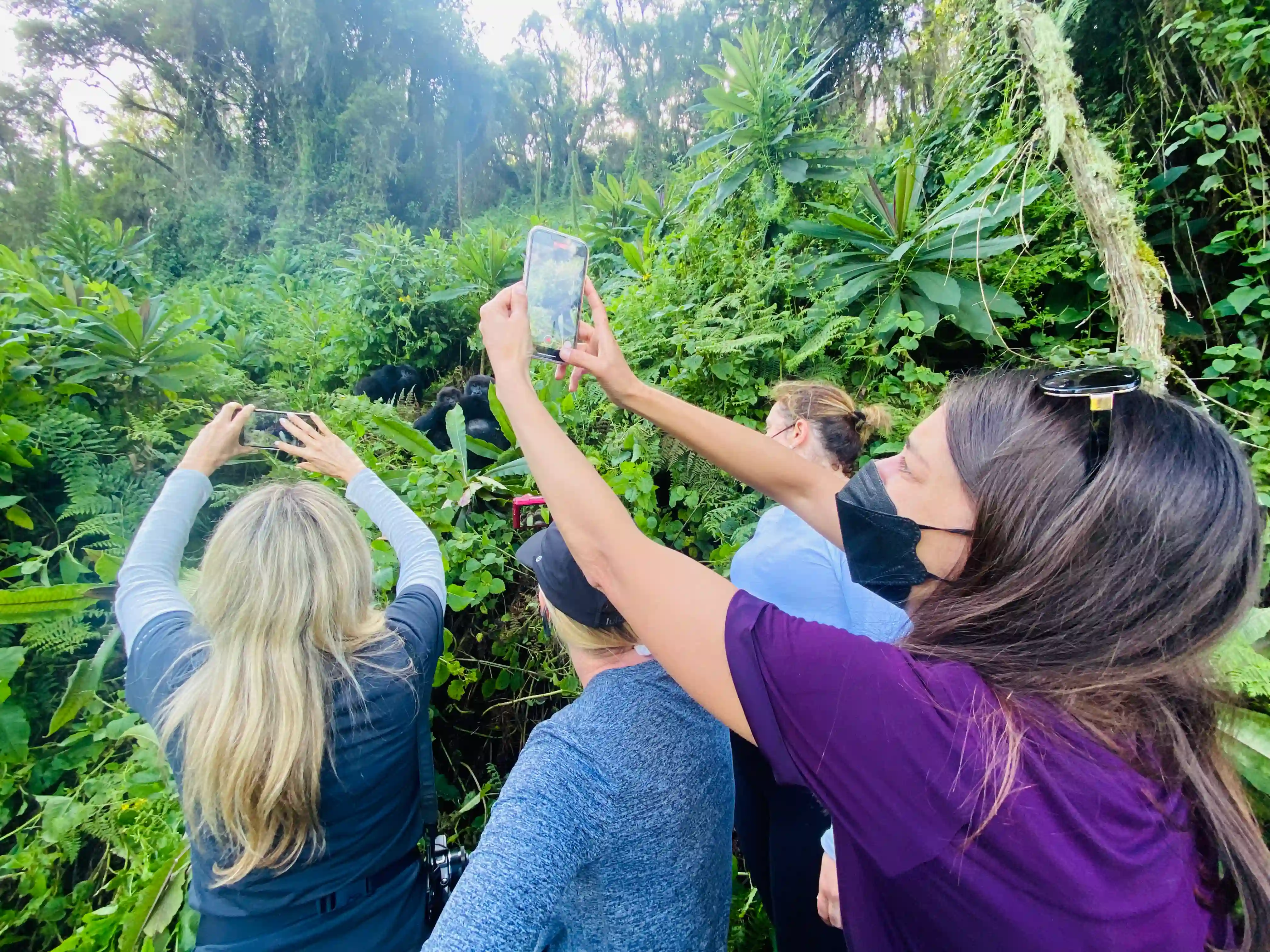 Group of women on an adventurous mountain gorilla trekking tour in Volcanoes National Park, Rwanda, enjoying wildlife and nature.