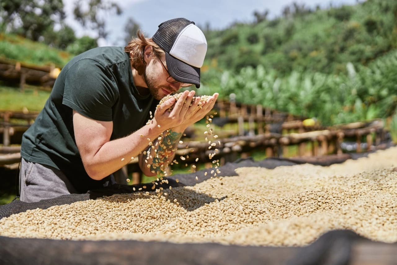 1 Day Coffee Experience: From Bean to Cup Along Congo Nile Trail