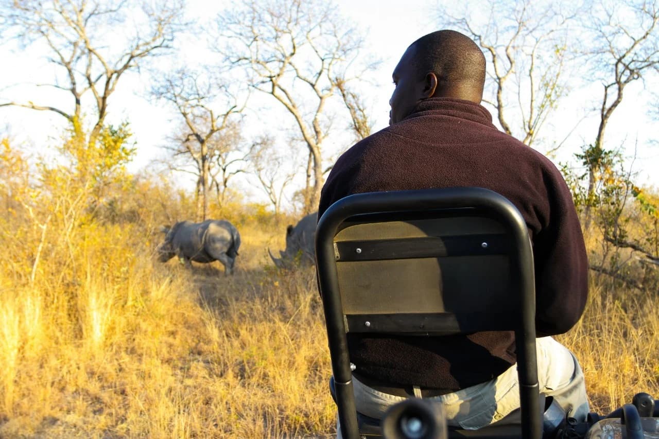 6-Day Sabi Sand & Kruger Safari From Johannesburg