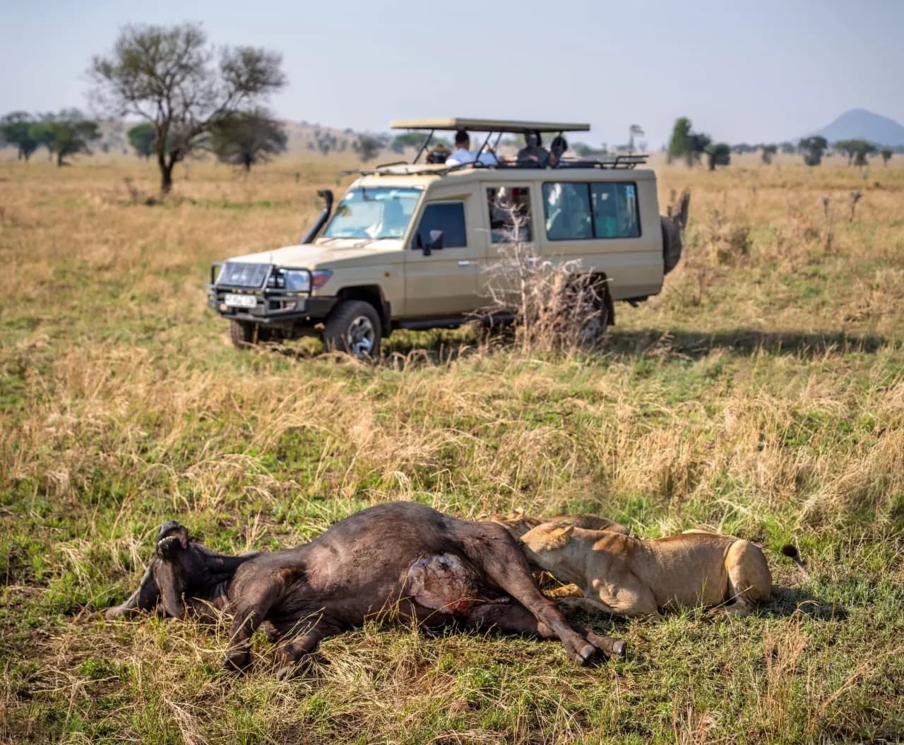 8-Day Tanzania Safaris & Zanzibar Beach Tour