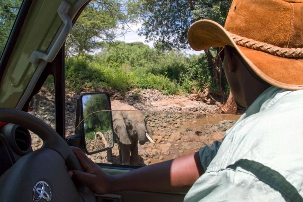 4-Day Tarangire National Park & Lake Manyara Safari