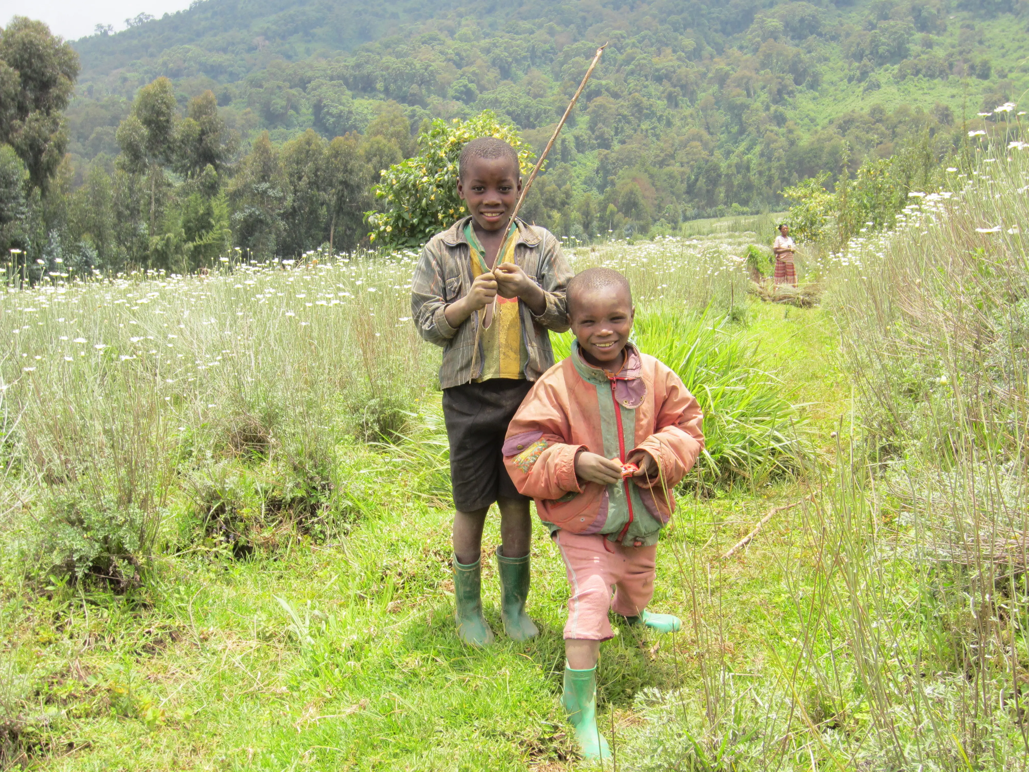 children from Virunga Massif playing around the pyrethrum