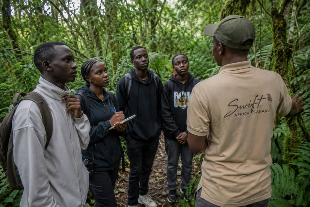 Tour Guiding Experience
